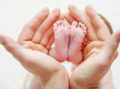 供卵试管子宫需要哪些条件&供卵试管生的孩子,国内单身女有子宫没卵巢可以