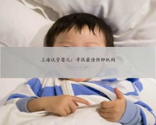 上海试管婴儿：寻找最佳供卵机构
