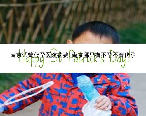 南京代孕妻子的双胞胎|中国首例试管婴儿生子引热议，“试管婴儿”的优势，